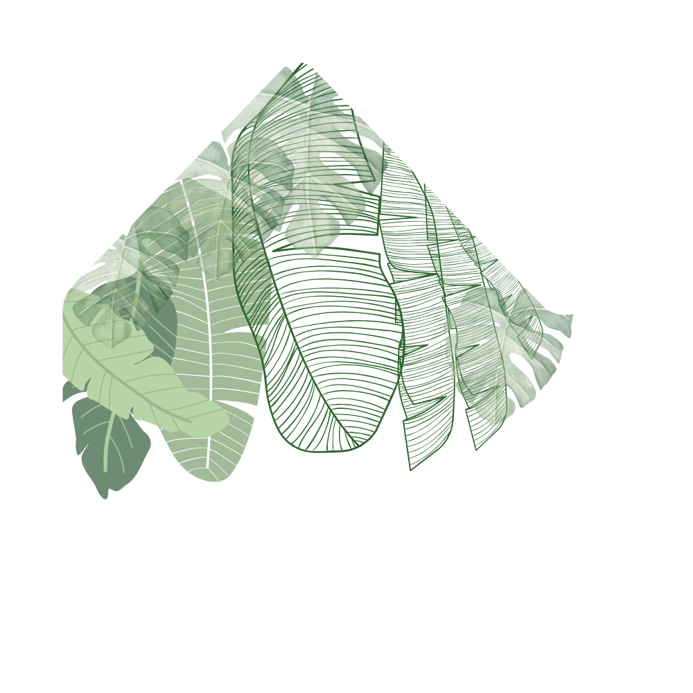 Acacia Sky Landscape